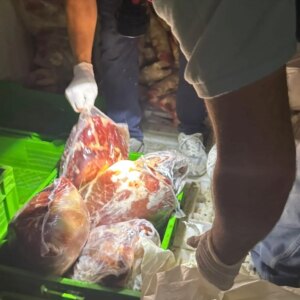 silopide 3 ton kacak et ele gecirildi kWjr37v2