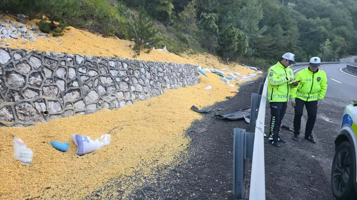 bursa inegolde hayvan yemi yuklu tir devrildi 2 agir yarali ClpdUGYw
