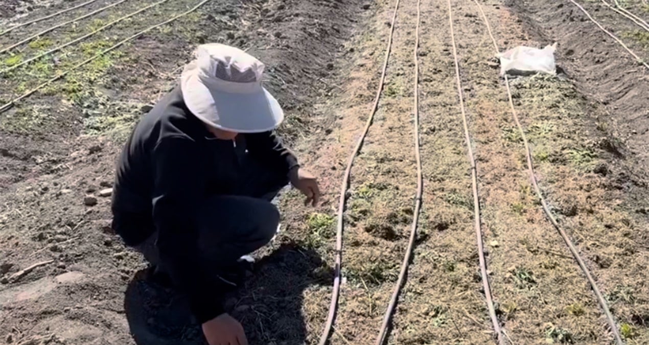 issiz kalinca ekti hayati bir anda degisti kilosunu 200 300 bin tlye satiyor NLM95sZW.jpg