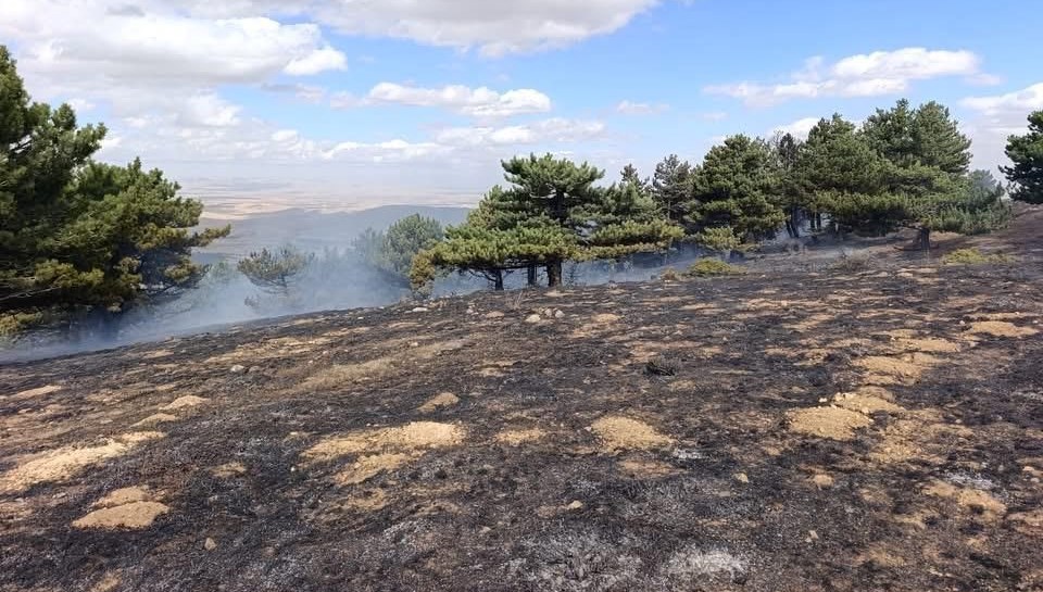 konyada orman yangini g6RKXRRR