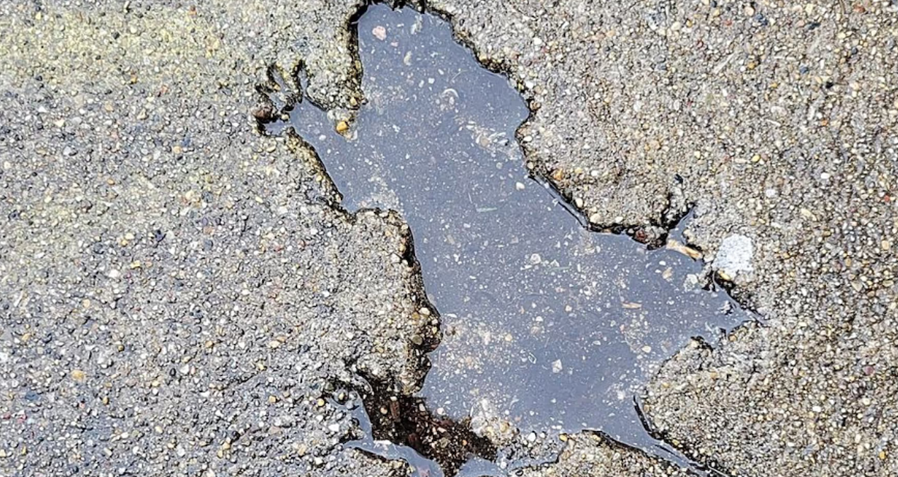 sehrin gobegindeki esrarengiz izin gizemi cozuldu herkes icine para atiyordu e5glyFPj.jpg