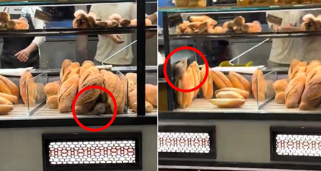 firinda cekilen bu goruntuyu paylasmamasi icin 420 bin lira teklif edildi 7SErhGrg.jpg