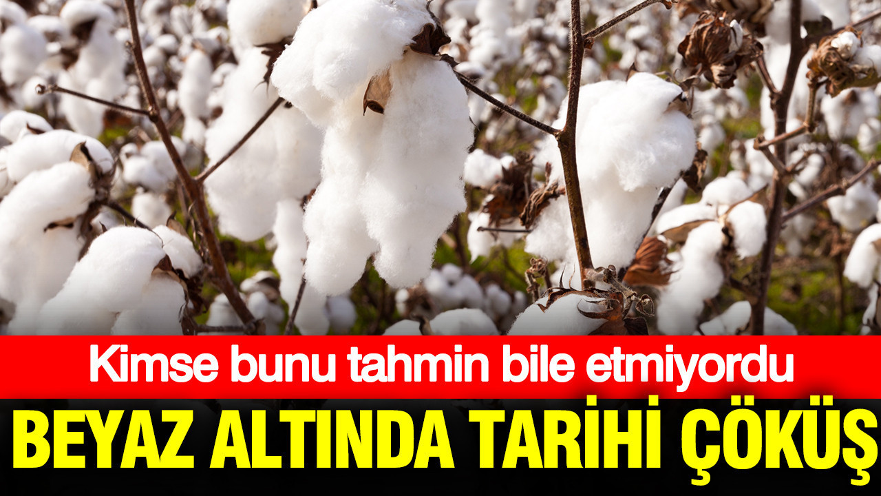 Pamukta Kriz: Türkiye’nin Yerli Üretimi Alarm Veriyor