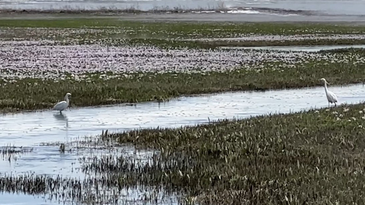 Yüksekova’da Baharın Gelişi: Göç Eden Akbalıkçıllar Aksu Köyü’nde
