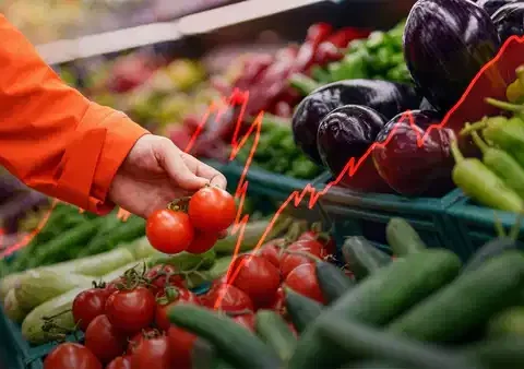 Şarkışla’da Yılan Kurtarıldı
