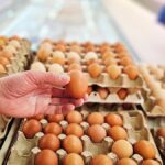 Gida krizi giderek buyuyor milyonlarca yumurta icin alarm verildi dnU1yzna